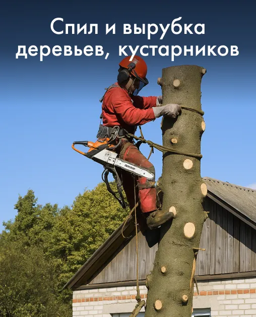 Спил и вырубка деревьев, кустарников