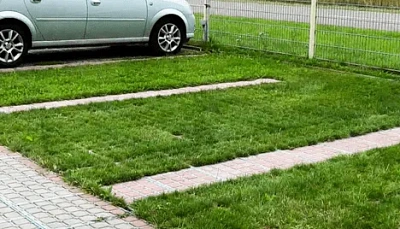 Экопарковка: что это такое? Преимущества и обустройство